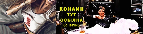 стаф Алзамай