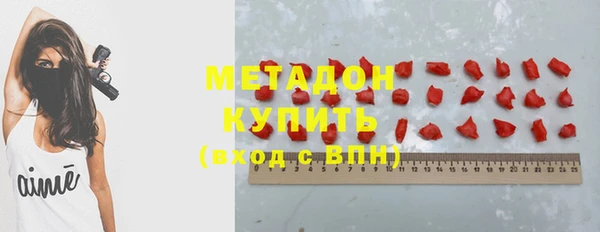 стаф Алзамай