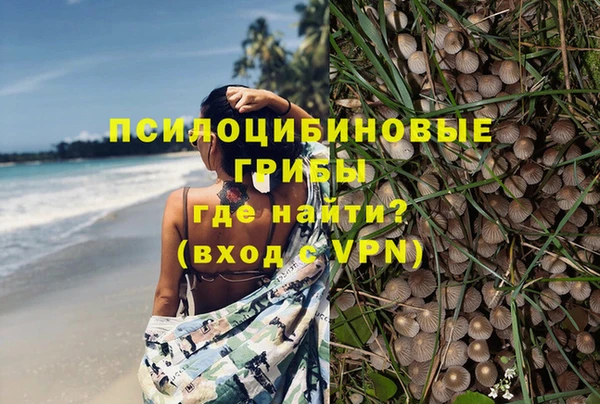 амф Алексеевка