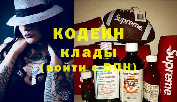 стаф Алзамай