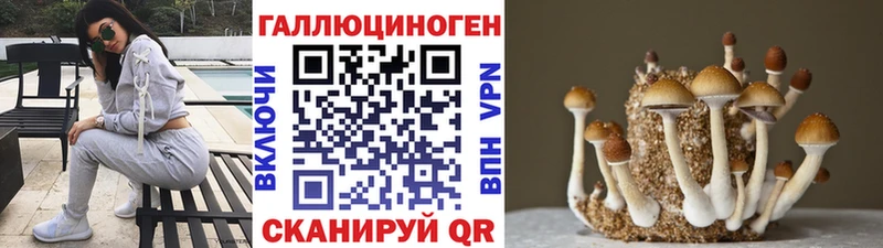 Псилоцибиновые грибы прущие грибы  Тавда 