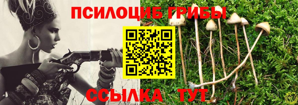 Тавда  Псилоцибиновые грибы ЛСД  Вход с VPN  Галлюциногенные грибы Psilocybine cubensis 