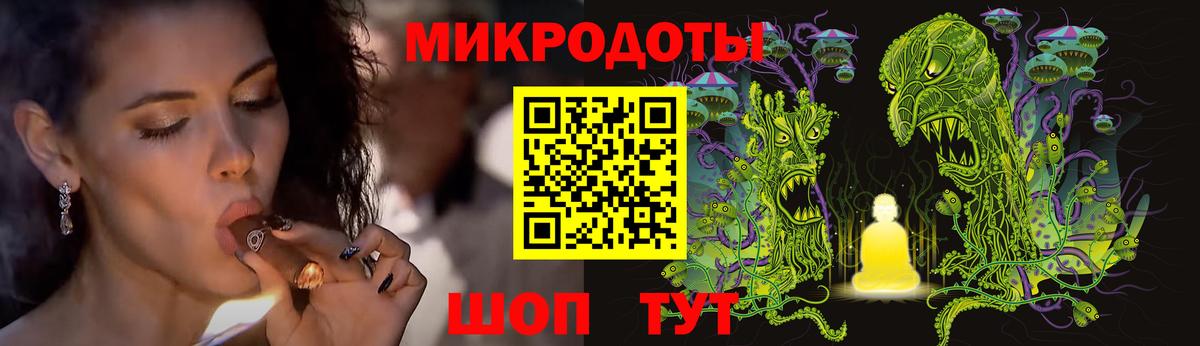 Псилоцибиновые грибы Psilocybe Тавда